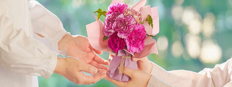 �y2026�N�z��̓��̗R���ƉԑI�т̃|�C���g�I�J�[�l�[�V�����̐F�ʉԌ��t�����