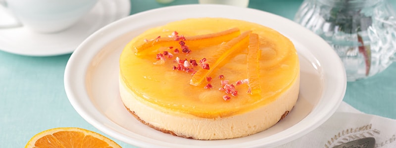 ��̓��̃v���[���g�̗\�Z�́H�ǂ�Ȃ��̂��I�΂�Ă���H