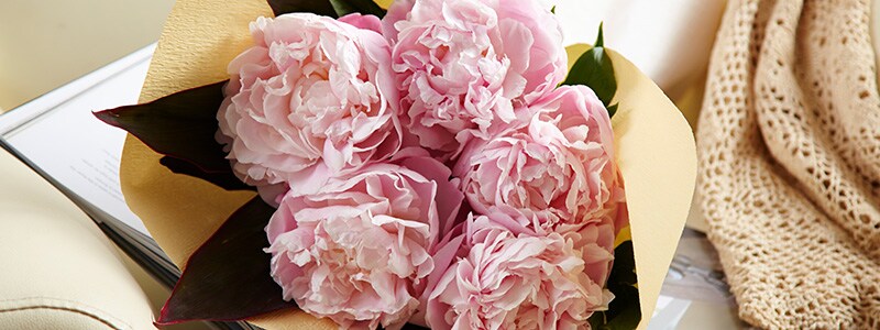 2026�N�̕�̓��͂��H���߂̏����Ŋ��ӂ̋C������`���悤