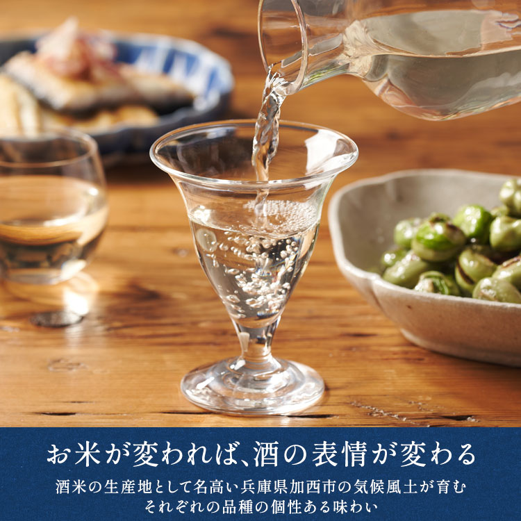 �X���C�_�[�摜2