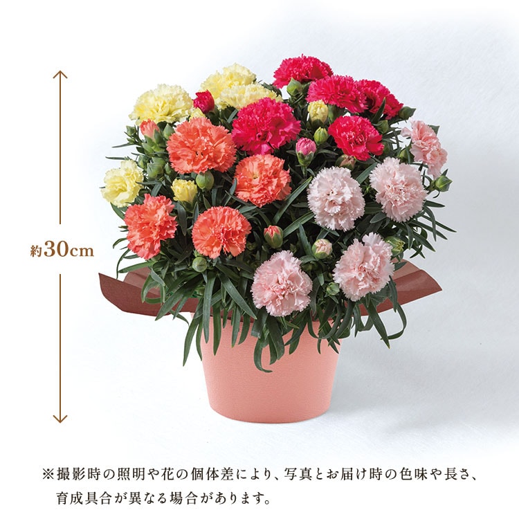 �X���C�_�[�摜2