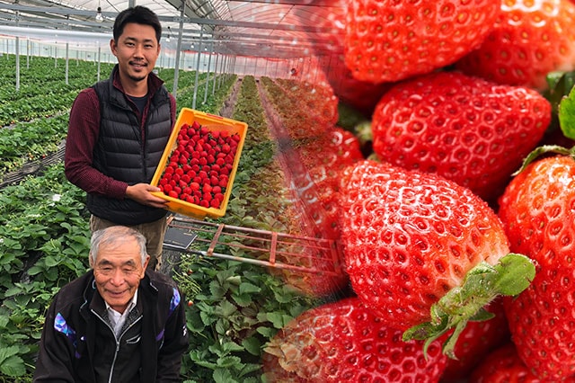 �S�؂₮�t�̂��܂�� �R���e���c2