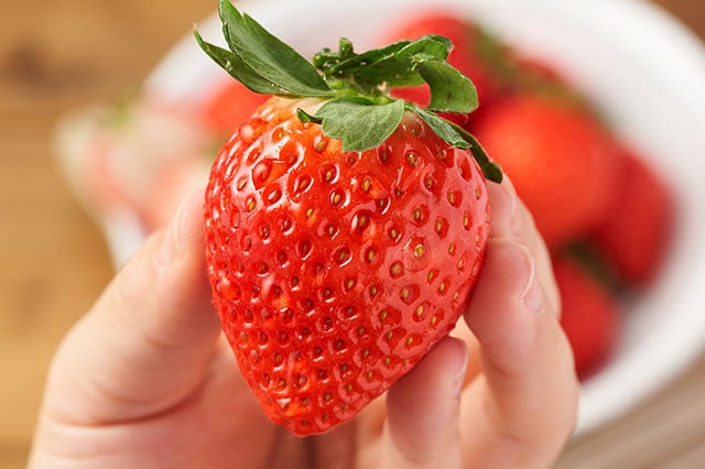 �S�؂₮�t�̂��܂�� �R���e���c3