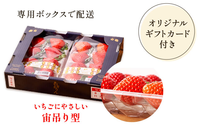 �S�؂₮�t�̂��܂�� ���͂��C���[�W