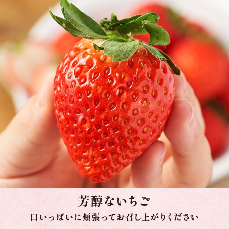心華やぐ春のあまりん ｜ 2026年 Oisix母の日・父の日ギフト特集