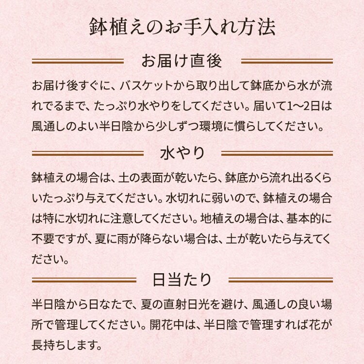 �X���C�_�[�摜5