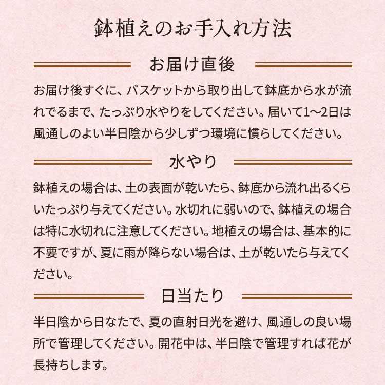 �X���C�_�[�摜5