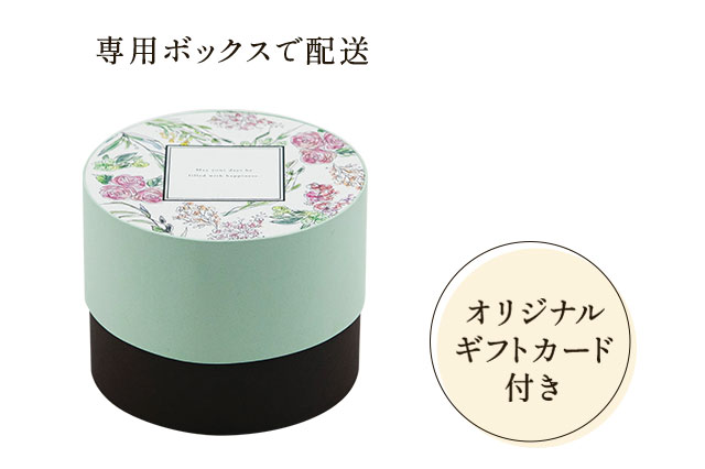 �v���U�[�u�h�t�����[�r�W���R�t�� �I�����W ���͂��C���[�W