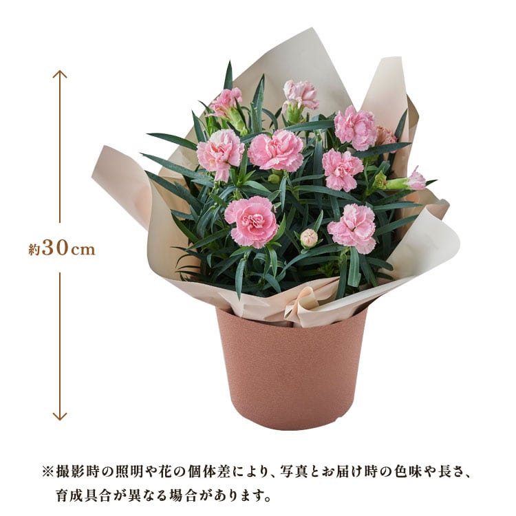 �X���C�_�[�摜2