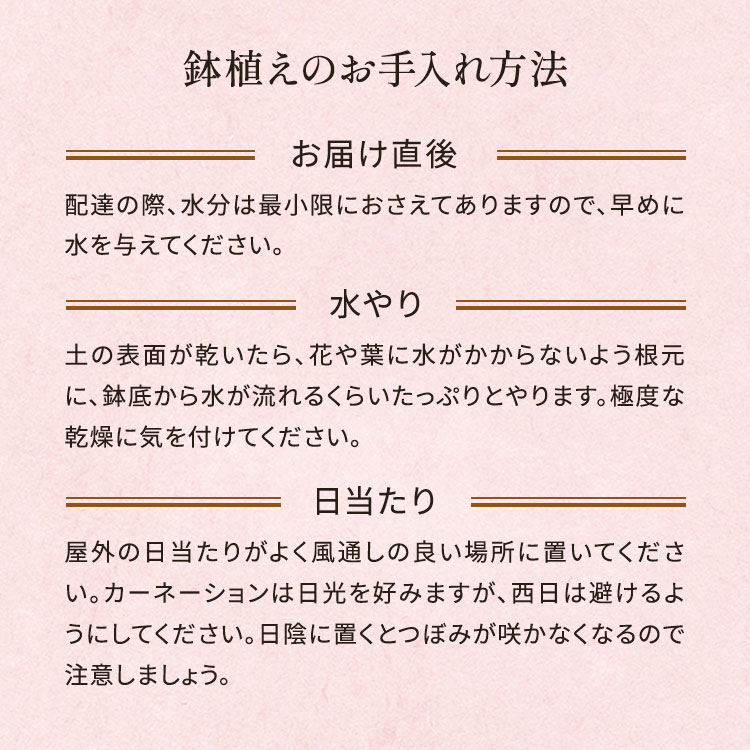 �X���C�_�[�摜5