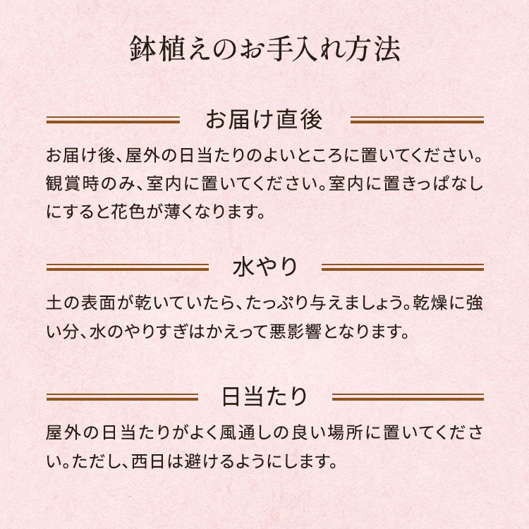 �X���C�_�[�摜5