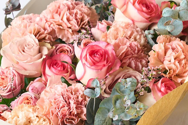 �G���K���g�K�[�f�����[�Y �R���e���c3