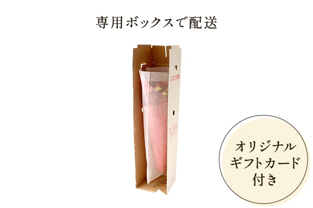 �G���K���g�K�[�f�����[�Y ���͂��C���[�W