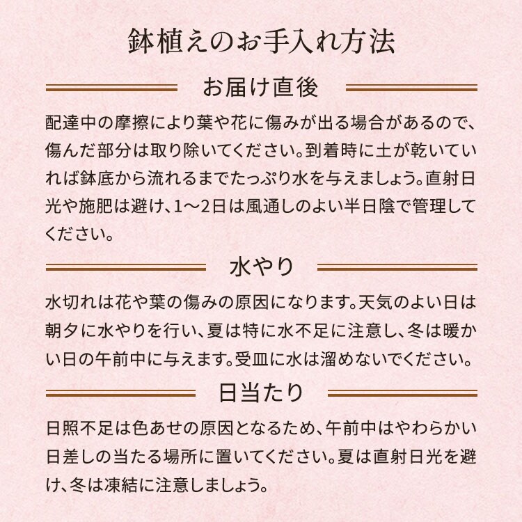 �X���C�_�[�摜4