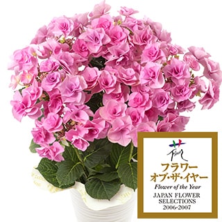 �A�W�T�C �t�F�A���[�A�C