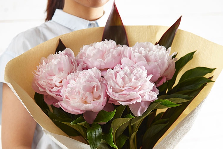 ���䉖�u�[�P �s���N