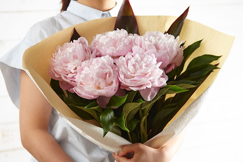  ���䉖�u�[�P �s���N �R���e���c1