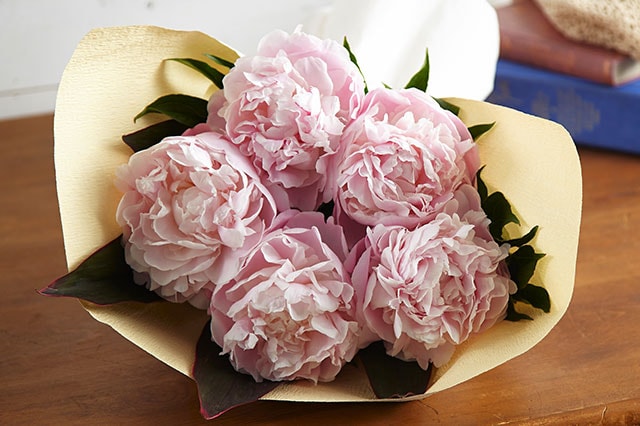 ���䉖�u�[�P �s���N �R���e���c2