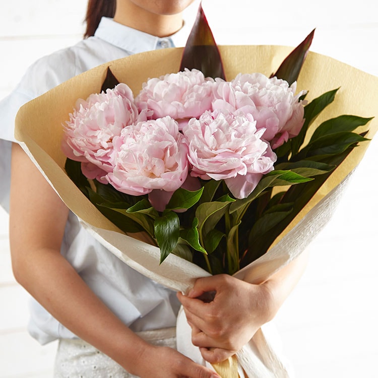 �X���C�_�[�摜1