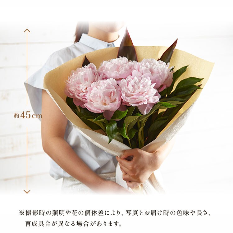 �X���C�_�[�摜2