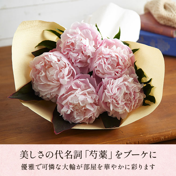 �X���C�_�[�摜3