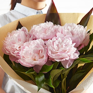 ���䉖�u�[�P �s���N