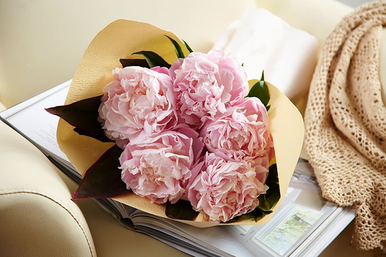  ���䉖�u�[�P �s���N �R���e���c1