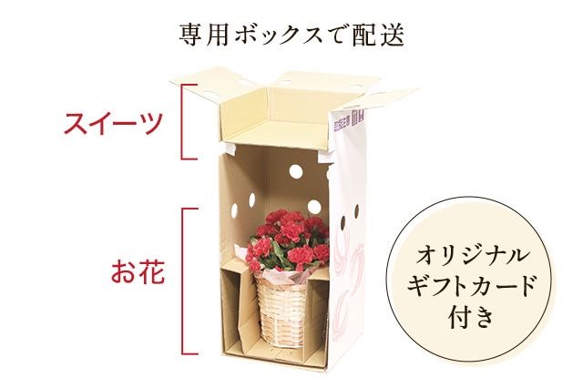 ���䉖�u�[�P �s���N ���͂��C���[�W