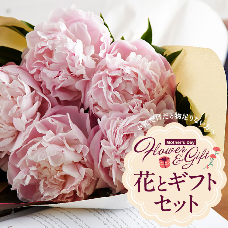 �X���C�_�[�摜1