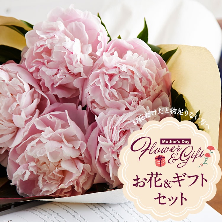 �X���C�_�[�摜1