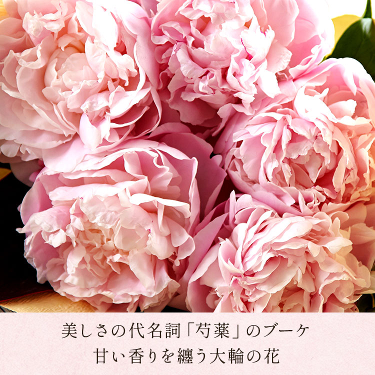 �X���C�_�[�摜7