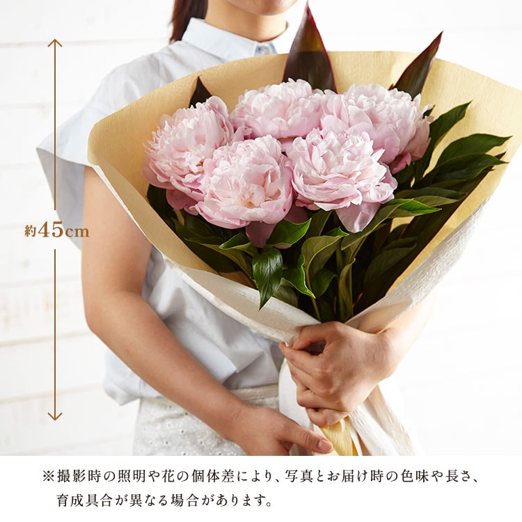 �X���C�_�[�摜8