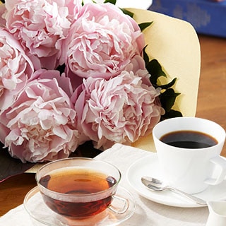 �g��2��&�R�[�q�[�Z�b�g / ���䉖�u�[�P �s���N