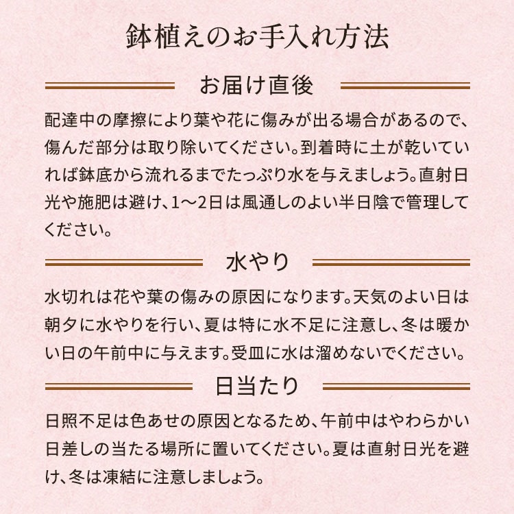 �X���C�_�[�摜4