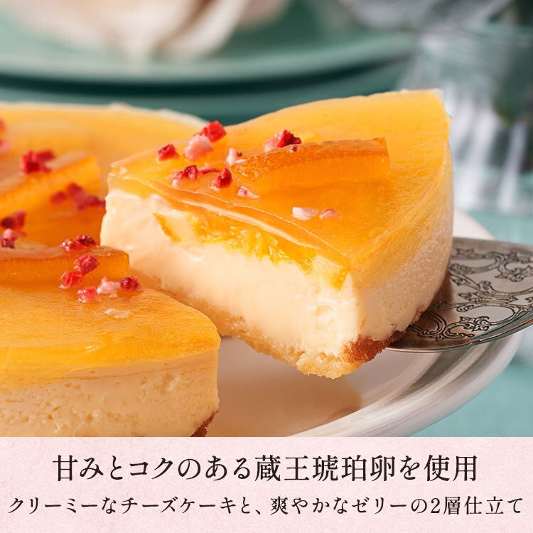 Oisix限定 蔵王琥珀卵のチーズケーキ オレンジ 4号 ｜ 2026年 Oisix母