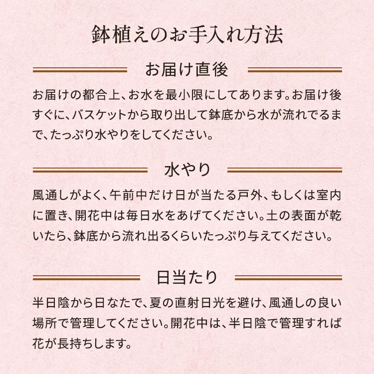 �X���C�_�[�摜4