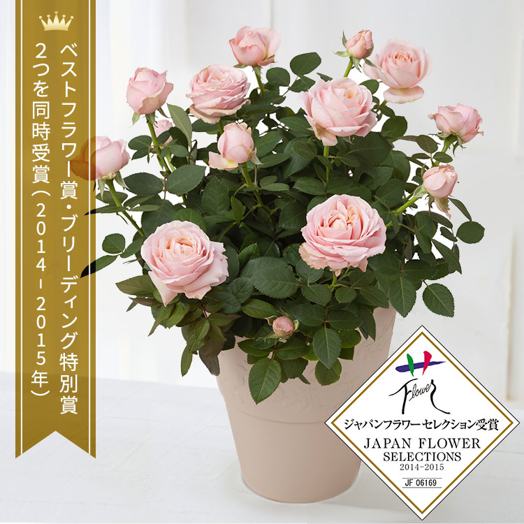 �X���C�_�[�摜1