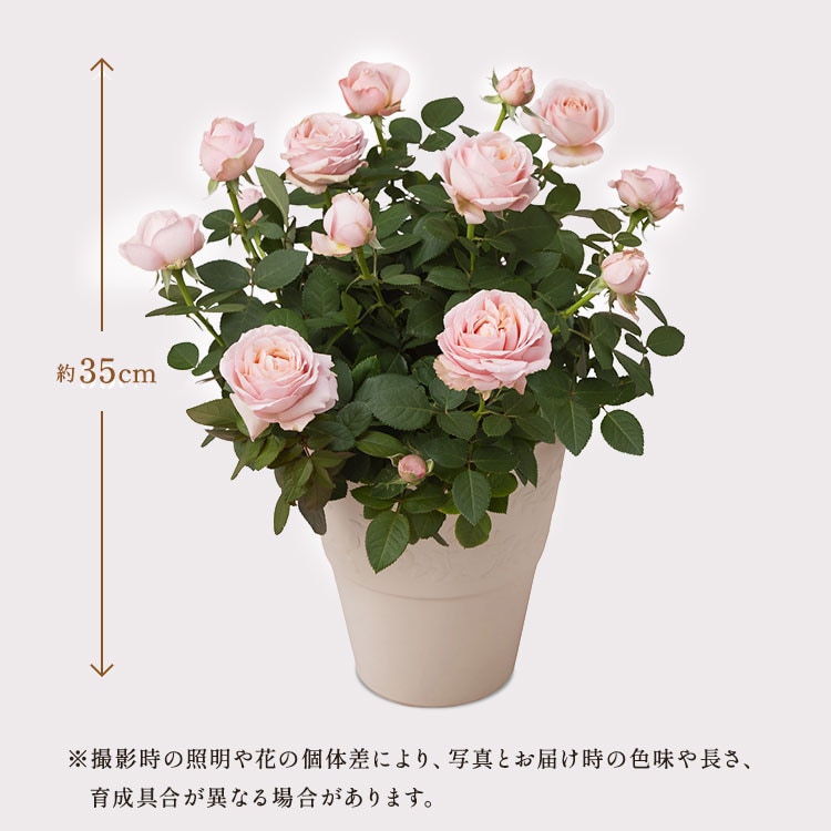 �X���C�_�[�摜2