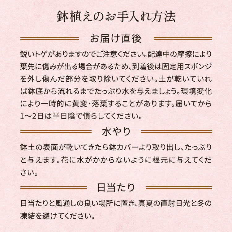 �X���C�_�[�摜5