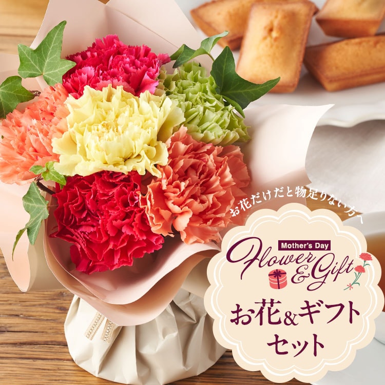 �X���C�_�[�摜1