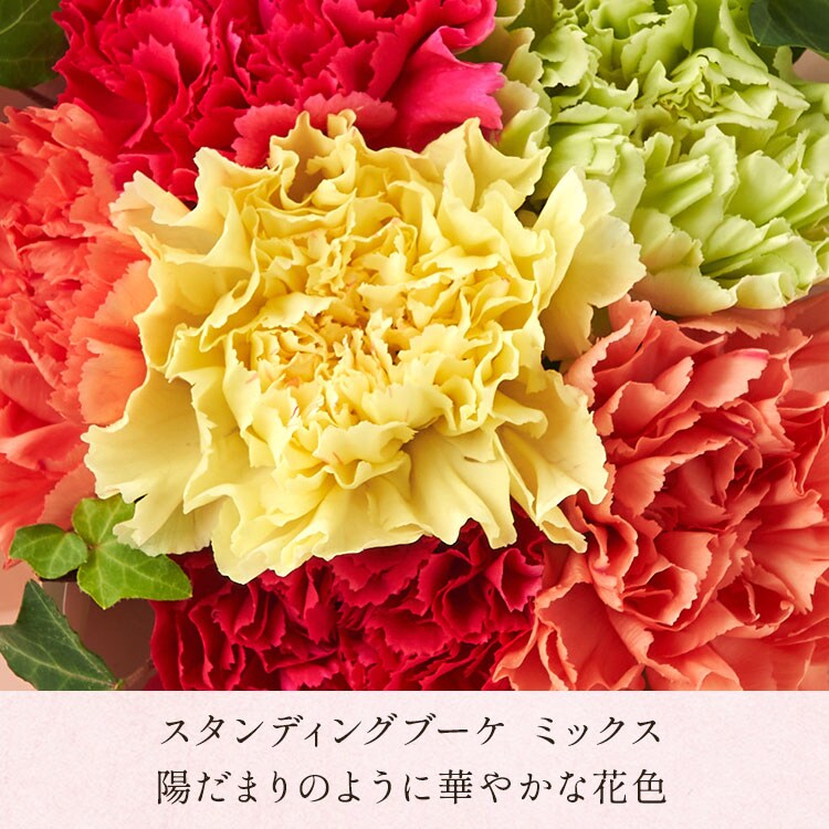 �X���C�_�[�摜7