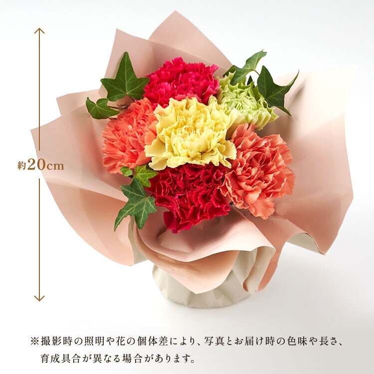 �X���C�_�[�摜8