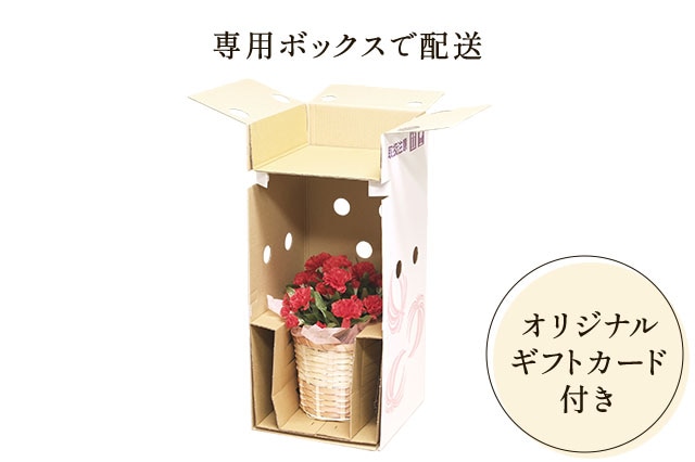 �X�^���f�B���O�u�[�P �s���N ���͂��C���[�W