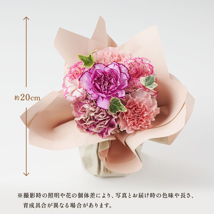 �X���C�_�[�摜2