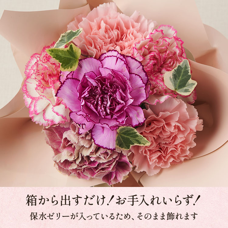 �X���C�_�[�摜4