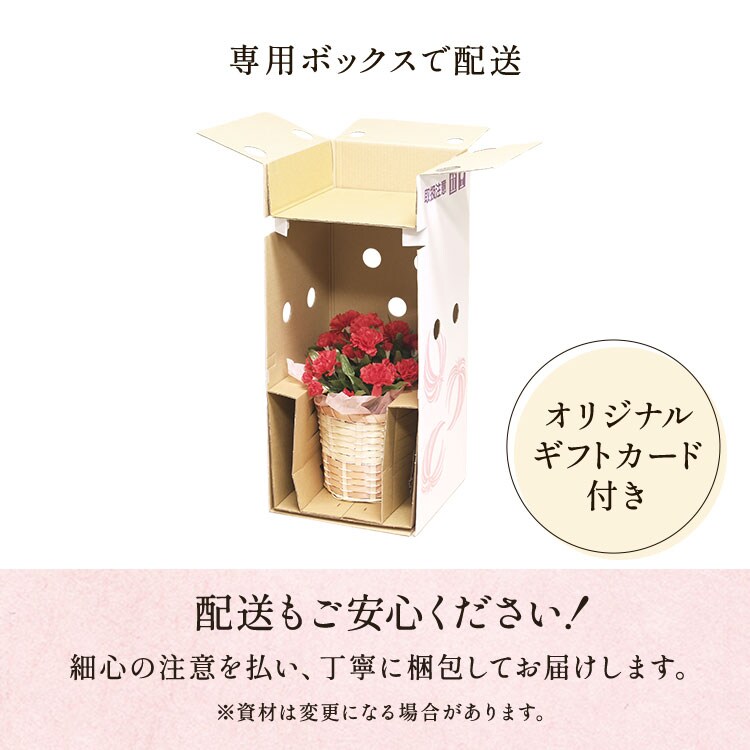 �X���C�_�[�摜6