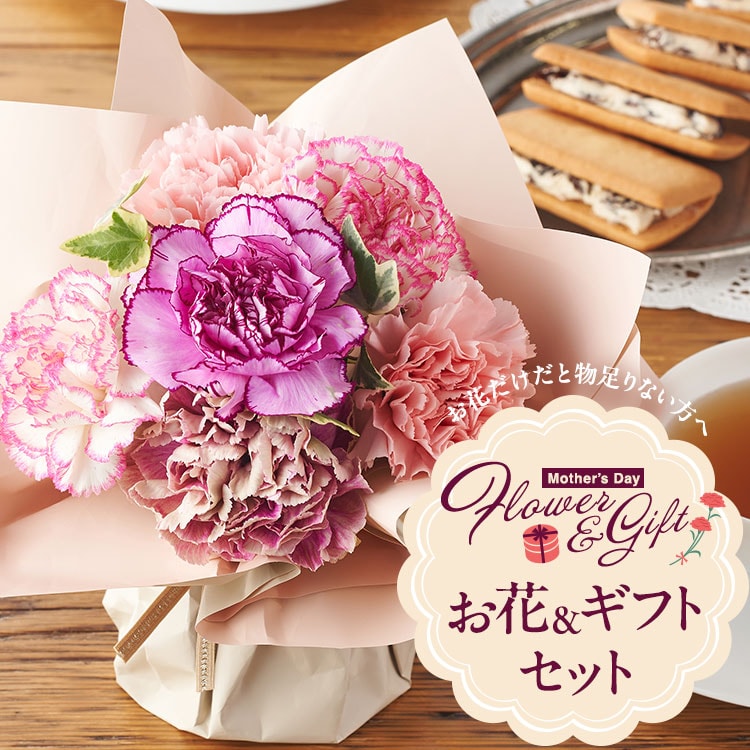 �X���C�_�[�摜1