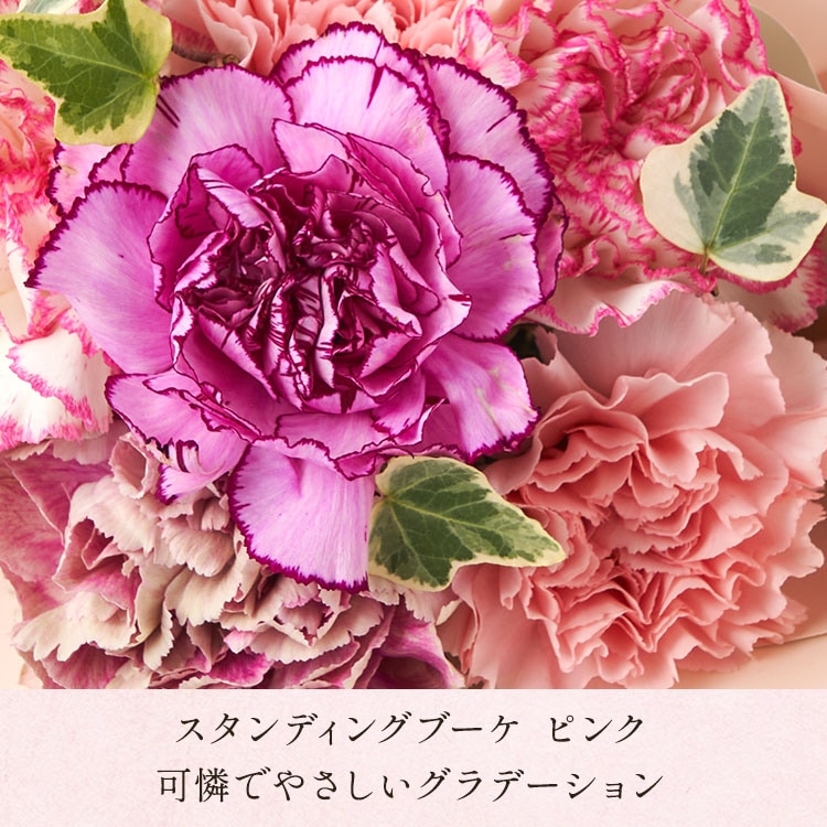 �X���C�_�[�摜7