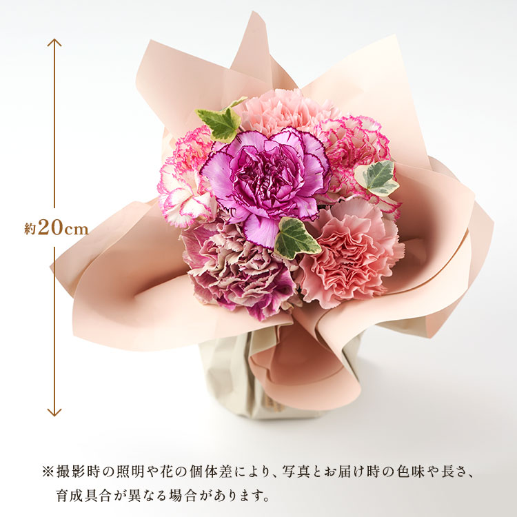 �X���C�_�[�摜8