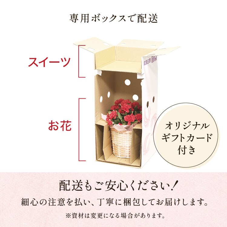 スタンディングブーケ ピンク 選べるギフトセット ｜ 2026年 Oisix母の